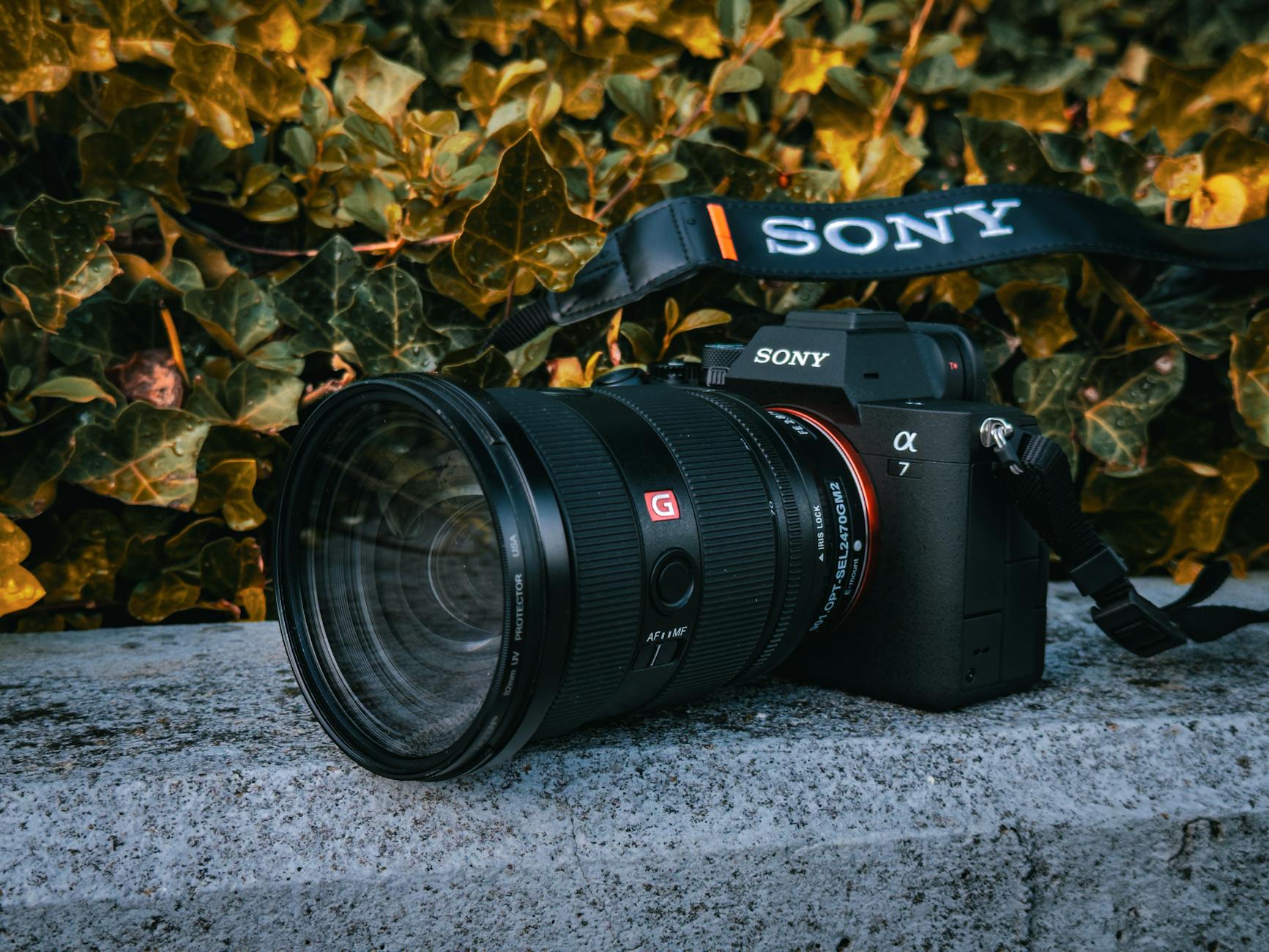 Sony Alpha A6000 Lenses 2025: New Upgrades for Better Photos