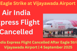 Air India Express Flight Cancelled After Eagle Strike at Vijayawada Airport | September 2025