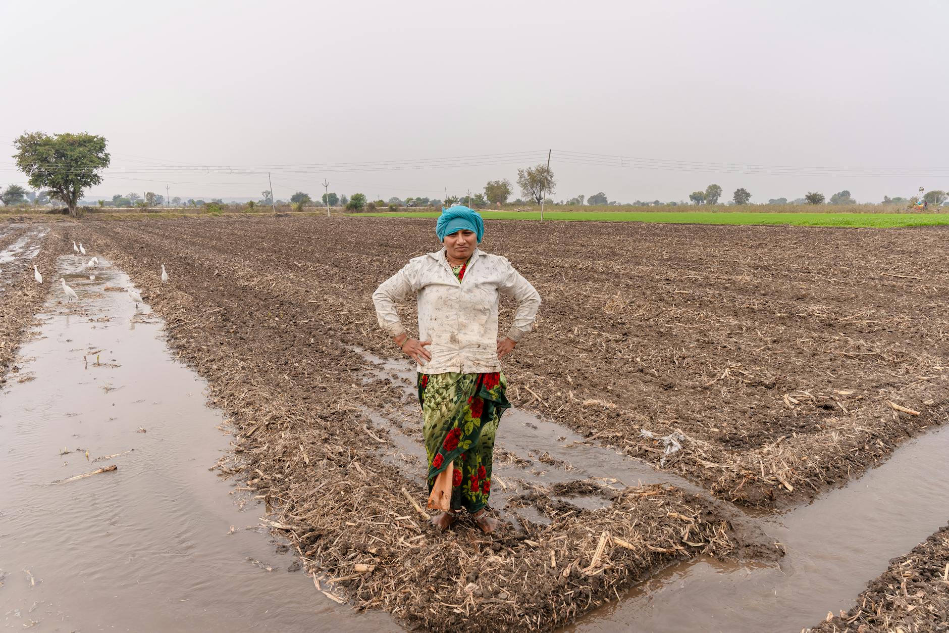 আসামের কৃষক জীবন ২০২৫: সমস্যা, সমাধান ও সম্ভাবনা, কার্যকর গাইড